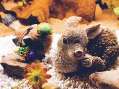 -嘉禾·悦享餐厅(八方汇店)