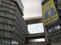 -涩谷区