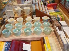 -猫的天空之城概念书店(丽江古城饮玉巷店)