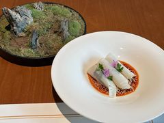 -觀芷隐轩