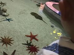 -福州罗源湾海洋世界旅游区