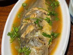 -前海沿·青岛菜(大拇指广场石老人店)