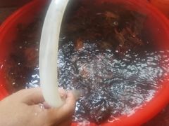 -江杨农产品批发市场