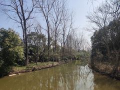 -上海滨江森林公园