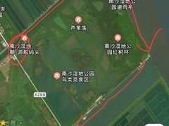 -大湾区中央湿地公园