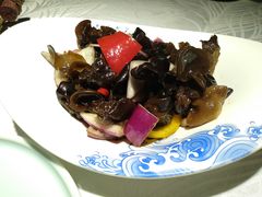 凉拌木耳-雲蜀龙阁·金牌水煮鱼(方庄店)