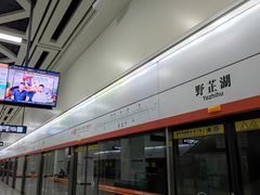 -野芷湖(地铁站)
