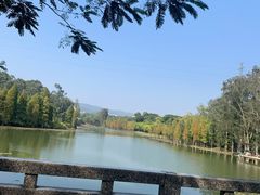 -华南国家植物园-售票处