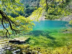 -叠溪松坪沟景区