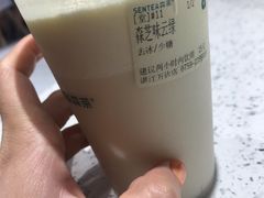 森之味云绿-森茶(湛江万达店)
