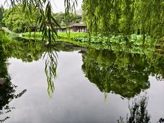 -南园(太仓市)
