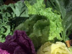 -捞王锅物料理(凯旋路店)