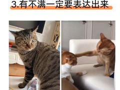 -达爱动物医院·犬猫分区·CT·复杂眼科(远洋山水分院)