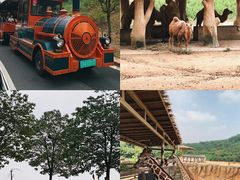 -杭州野生动物世界