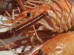 -七星龙虾城·海鲜·大闸蟹(吴江店)