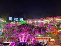 -枇杷园食为鲜火锅(南山店)