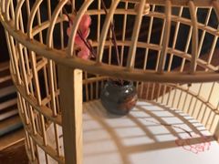 -佬麻雀·新湘菜(珠海金发购物中心店)