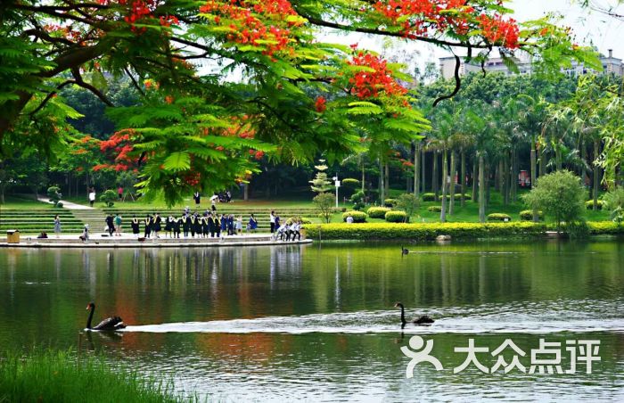 厦门大学芙蓉湖图片 - 第7张