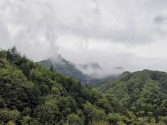 -秦岭风景区