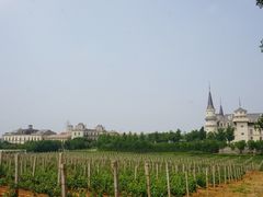 -北京张裕爱斐堡酒庄