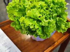 -峰瑞藏地美食·石锅鸡·牦牛肉(大昭寺品牌店)