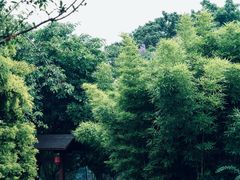 -成都市文化公园