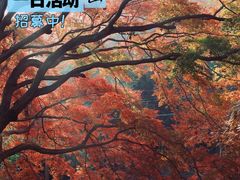 -莫干山风景区