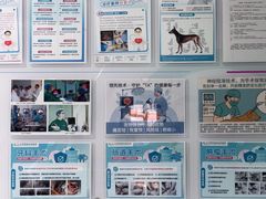 -北京观赏动物医院·24小时大型综合·猫专科·异宠专科