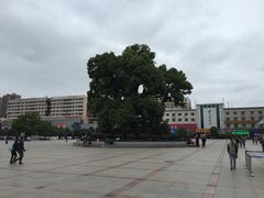 -衡阳站