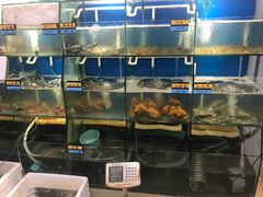 水产区-胖大嫂渔家排档·全海景餐厅(渔村店)