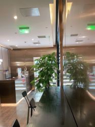 -崇尚GAVIN STYLE臻选