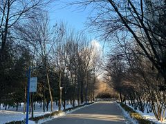 -森林公园(尖草坪区)