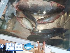-老刘生态大鱼坊铁锅炖鱼(赛马场店)
