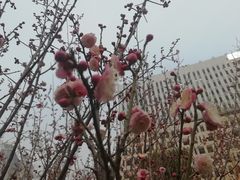 -山东大学(趵突泉校区)