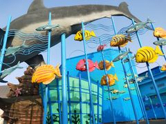 -海合安武汉极地海洋公园