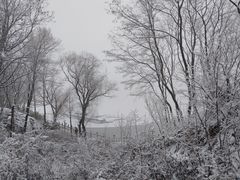 -秦岭终南山世界地质公园翠华山景区
