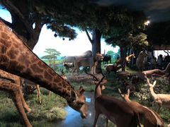 -国家自然博物馆