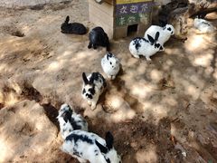 -鄂尔多斯野生动物园