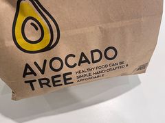-油梨树AVOCADO TREE(望京店)