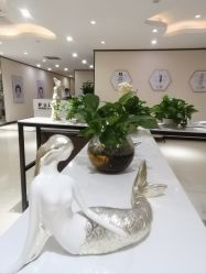 -东莞西妃整形美容医院