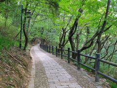 -苏州上方山国家森林公园