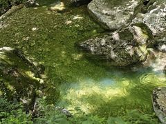 -牛背梁国家森林公园