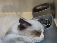 -萌兽医馆·眼科·异宠专科(三里屯店)