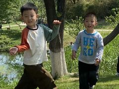 -羊山湖公园