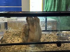 -北京华联合肥长江西路购物中心