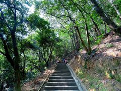 -火炉山森林公园