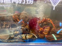 -盒马X会员店(上海森兰商都店)