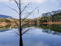 -凤岗南门山森林公园