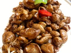 祁连山黄菇-沙力海西北特色美食烤肉店(北门坡店)