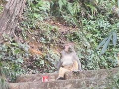 -黔灵山公园